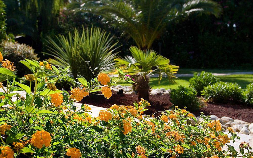 Le Cottage - Hotel & Spa Argelès-sur-Mer Εξωτερικό φωτογραφία